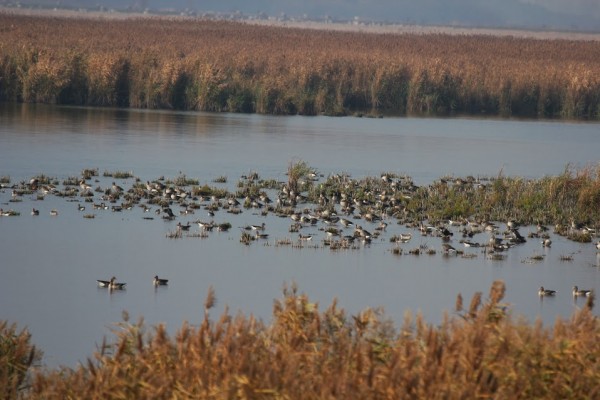 img-9003.jpg