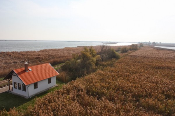 img-9028.jpg