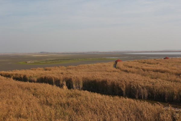 img-9029.jpg
