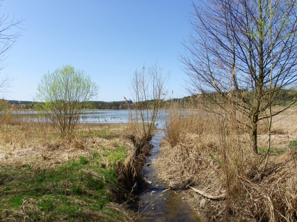 Sytenský rybník