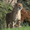 ZOO Praha na podzim