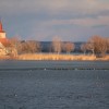 Husy, husy a poslové jara čejky