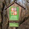 Ostralky a zrzohlávky na Bohdanečském rybníce