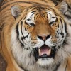 Fotoreportáž z návštěvy ZOO Plzeň
