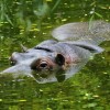 Fotostřípky ze ZOO Mikolajiv