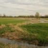 Ptačí park Josefovské louky