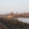 Zimní ornitologická exkurze - Jižní Morava (den druhý)