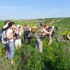 Ornitologická exkurze - Severočeské výsypky II.